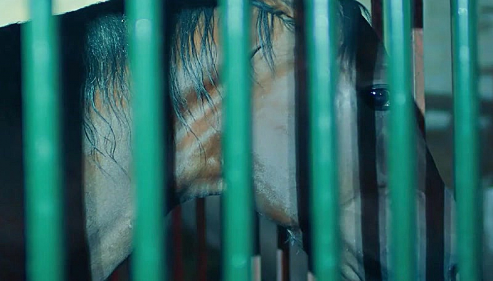 İran Yapımı 3 - B&ouml;l&uuml;m 5