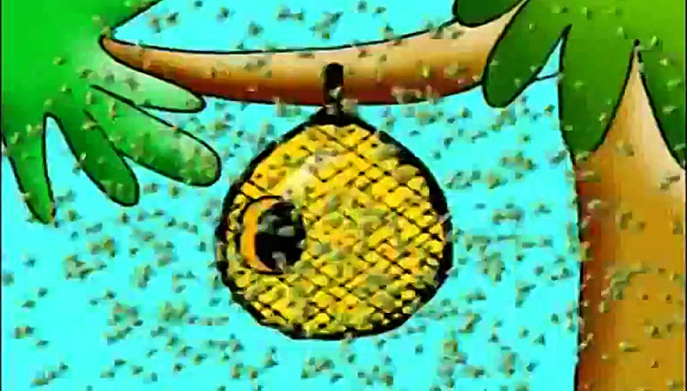 Coco, Where is Today's Story S01E04