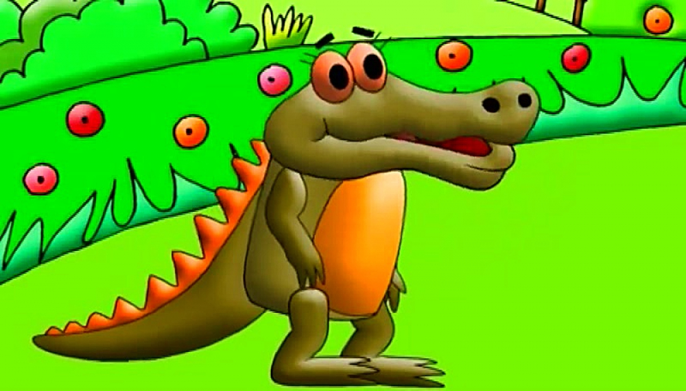 Coco, Where is Today's Story S01E25