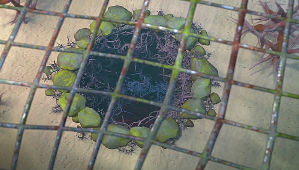 Delfin &Ccedil;ocuk - Sezon 1 B&ouml;l&uuml;m 8