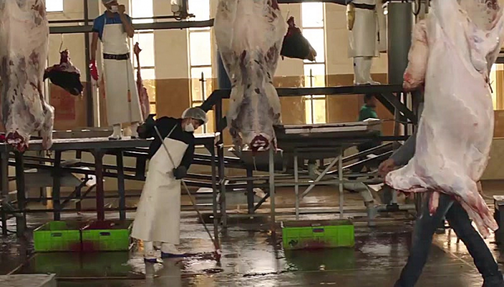 Accomplice S01E02 (For Hearing-Impaired)