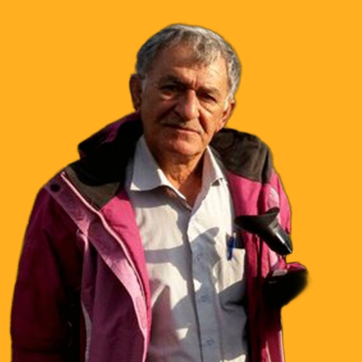 امیر شکرگزار - amir shokrgozar