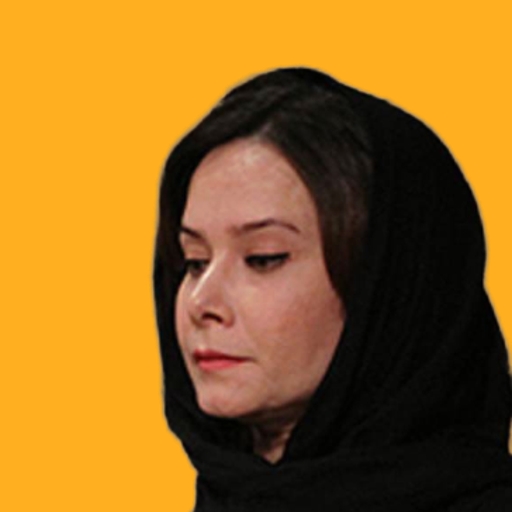 مینا مشهدی مهدی