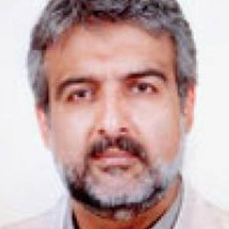 سعید حاجی میری